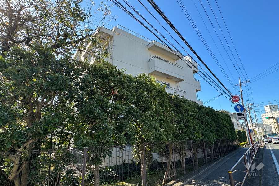 第２ウインザーハイム鷺沼の外観（北東側から）