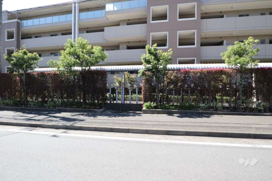 駐輪場（屋根あり