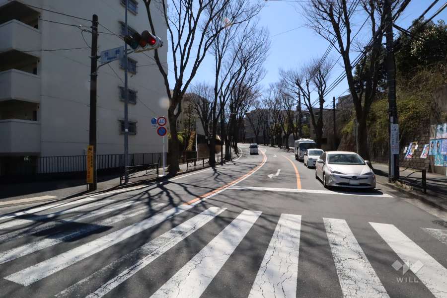 敷地西側の前面道路（北側から）