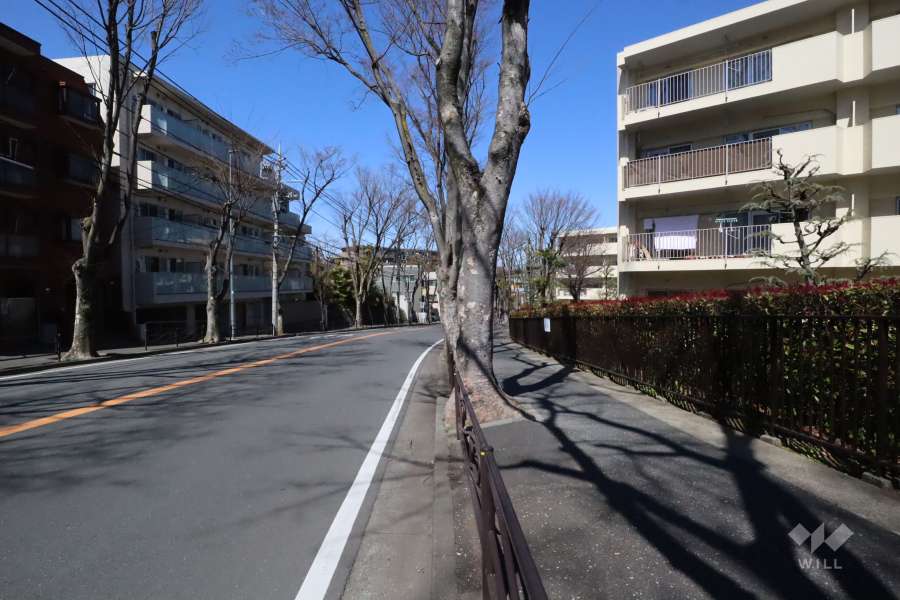敷地西側の前面道路（南側から）