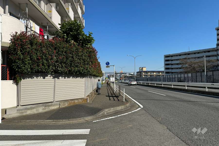 敷地南側の前面道路（西側から）