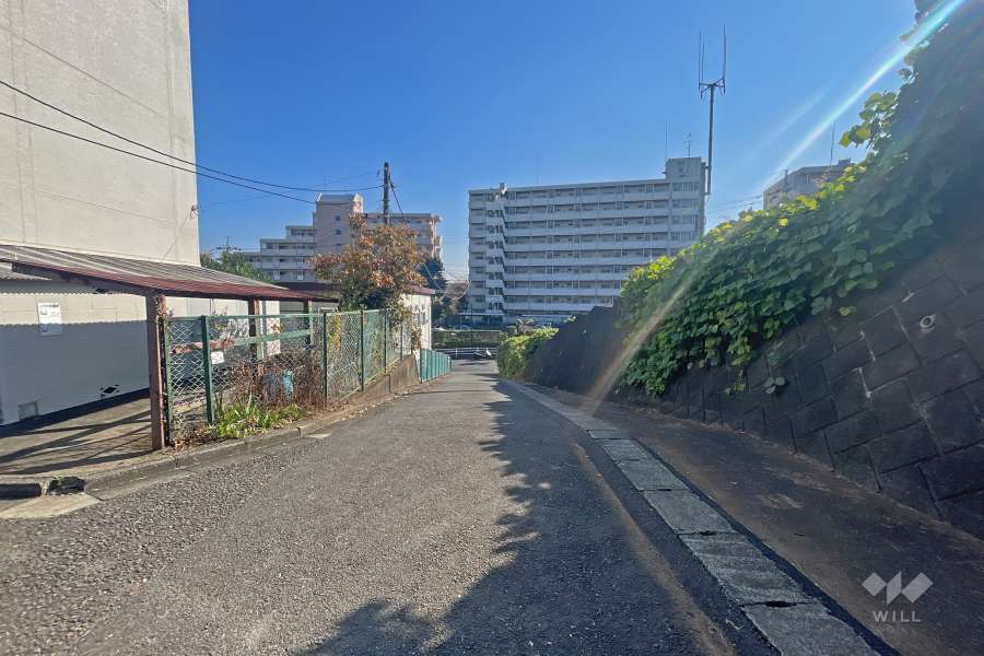 敷地南西側の前面道路（北西側から）