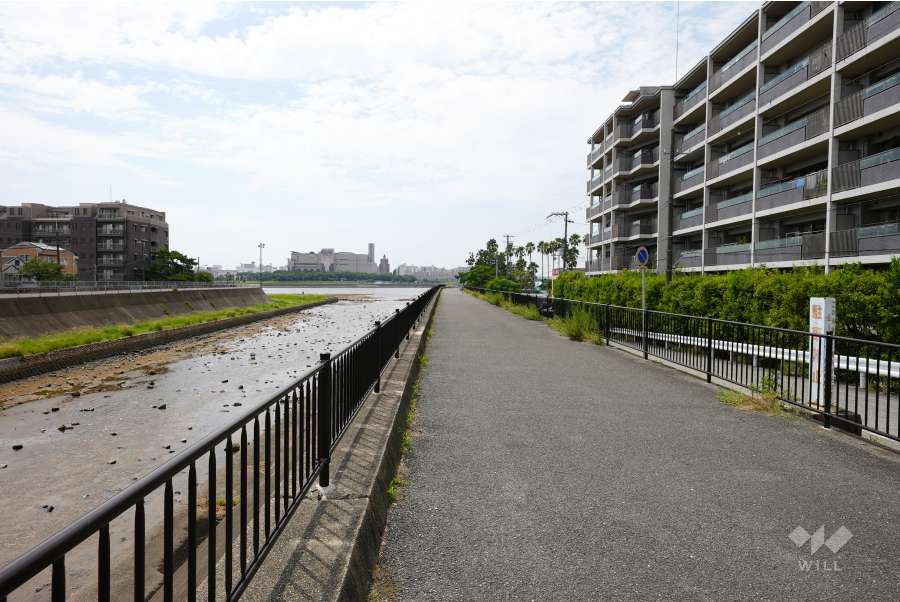 敷地東側の前面道路(北側から)