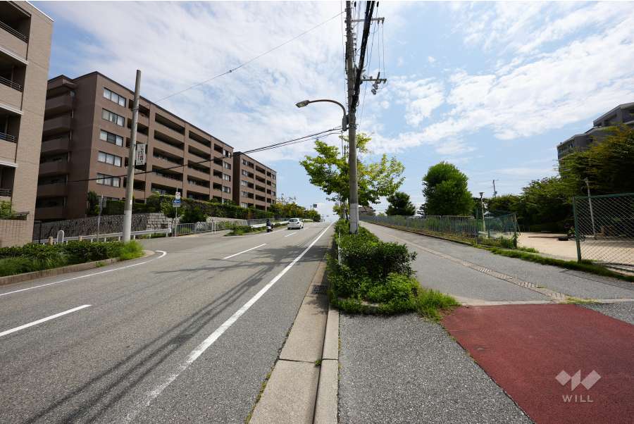 敷地北側の前面道路(西側から)