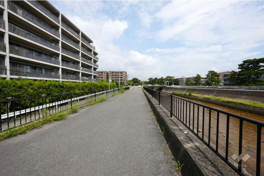 敷地東側の前面道路(南側から)