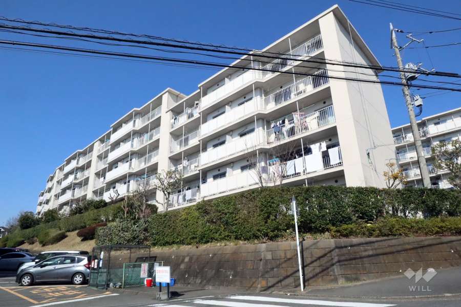 向ヶ丘遊園センチュリータウン11号棟の外観(南東側から)