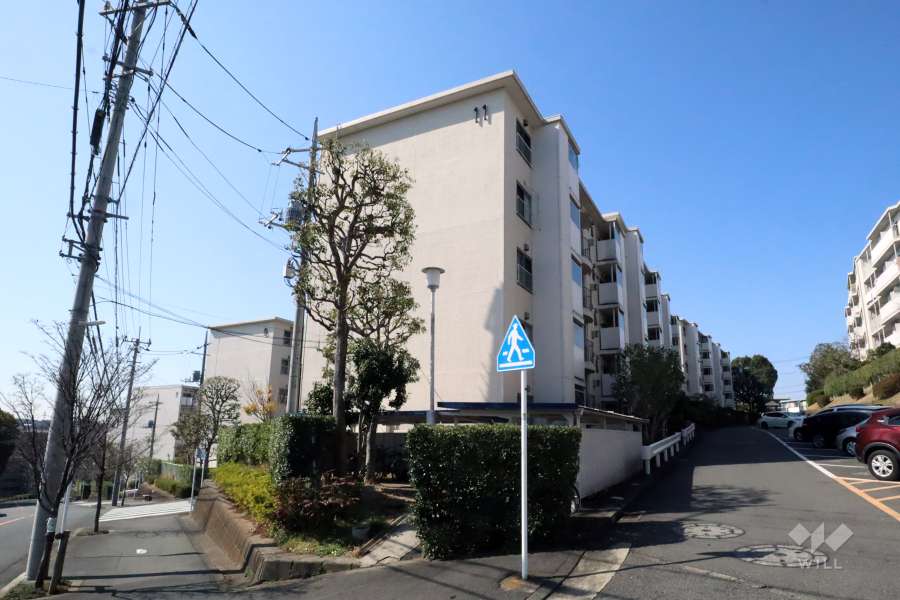 向ヶ丘遊園センチュリータウン11号棟の外観(北東側から)