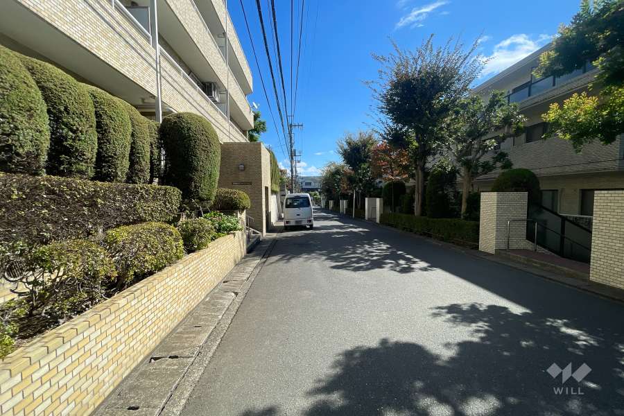 敷地南側の前面道路（西側から）
