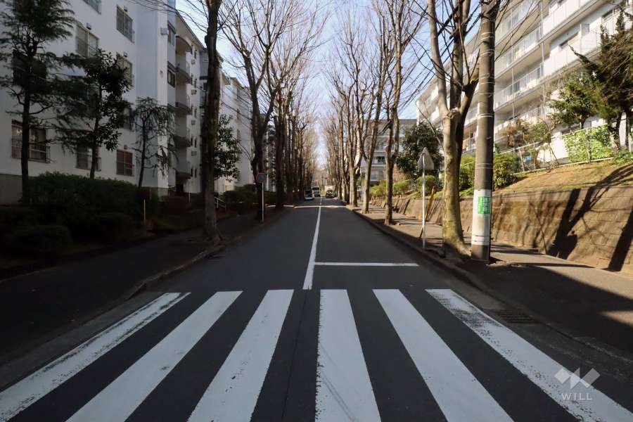 敷地西側の前面道路(南側から)