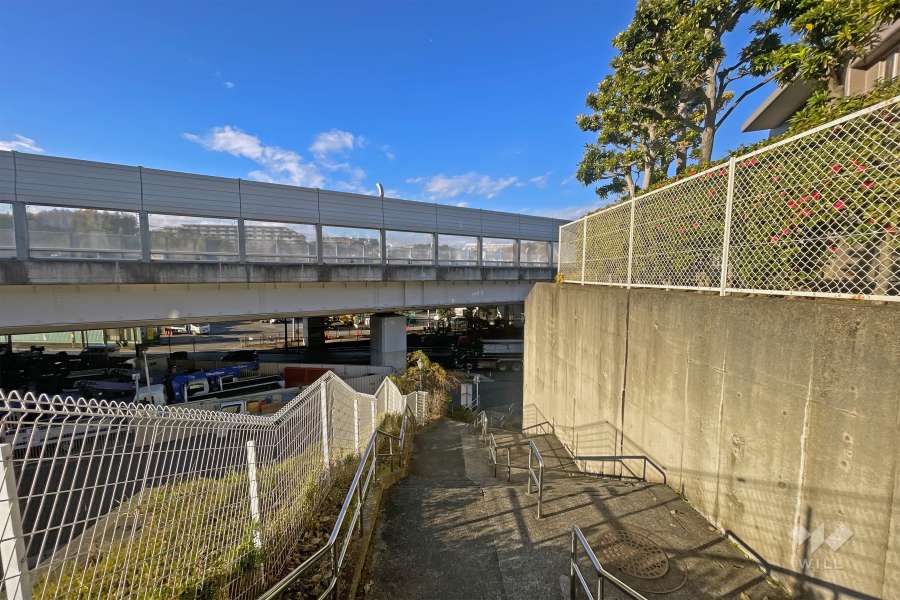 敷地の西側道路（南側から）