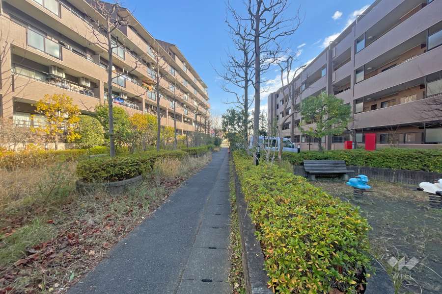 敷地南側の前面道路（西側から）