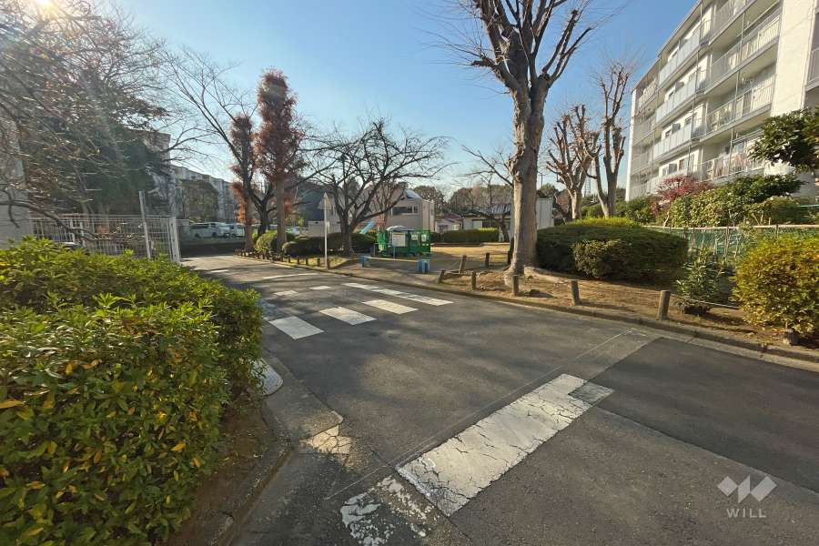 敷地南東側の前面道路（北東側から）