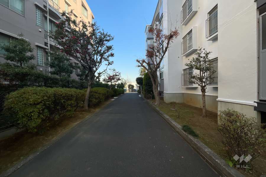 敷地北側の前面道路（西側から）