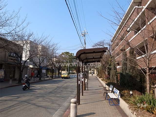敷地南側、目の前にバス停があります。南側前面道路を西に突き当たると関西学院大学です。