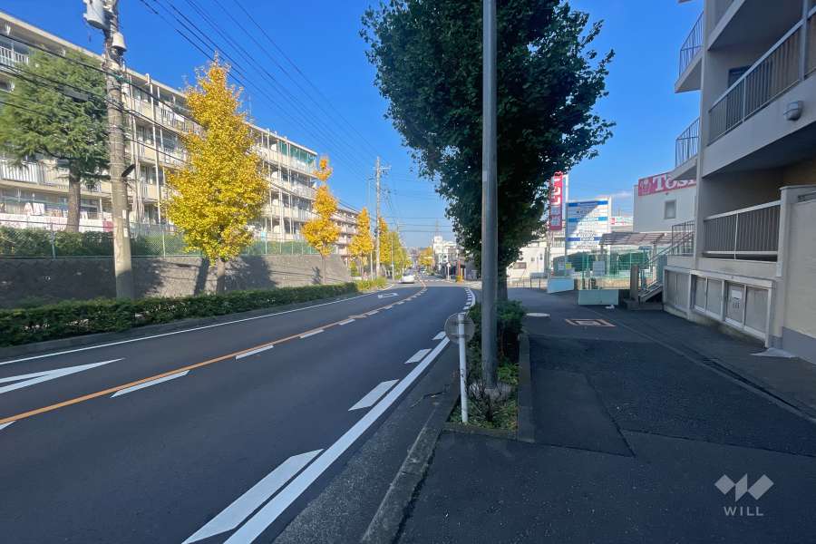 敷地北西側の前面道路（南西側から）