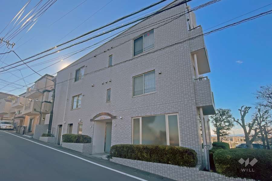 ライネスハイム鷺沼弐番館の外観（北東側から）