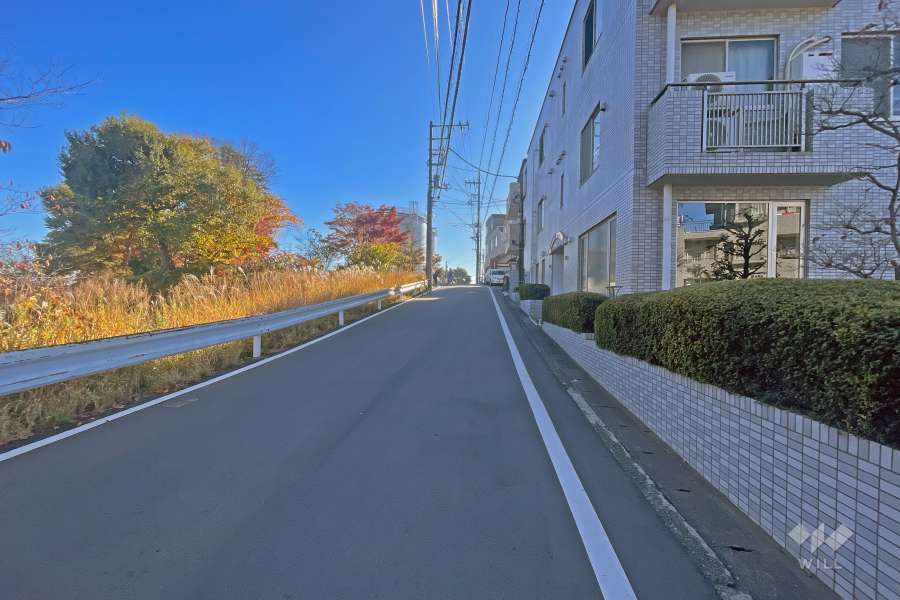 敷地の南側前面道路（東側から）