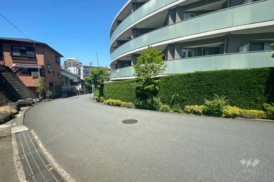 敷地南西側の前面道路