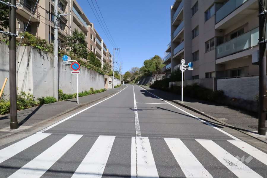 敷地北東側の前面道路(南東側から)