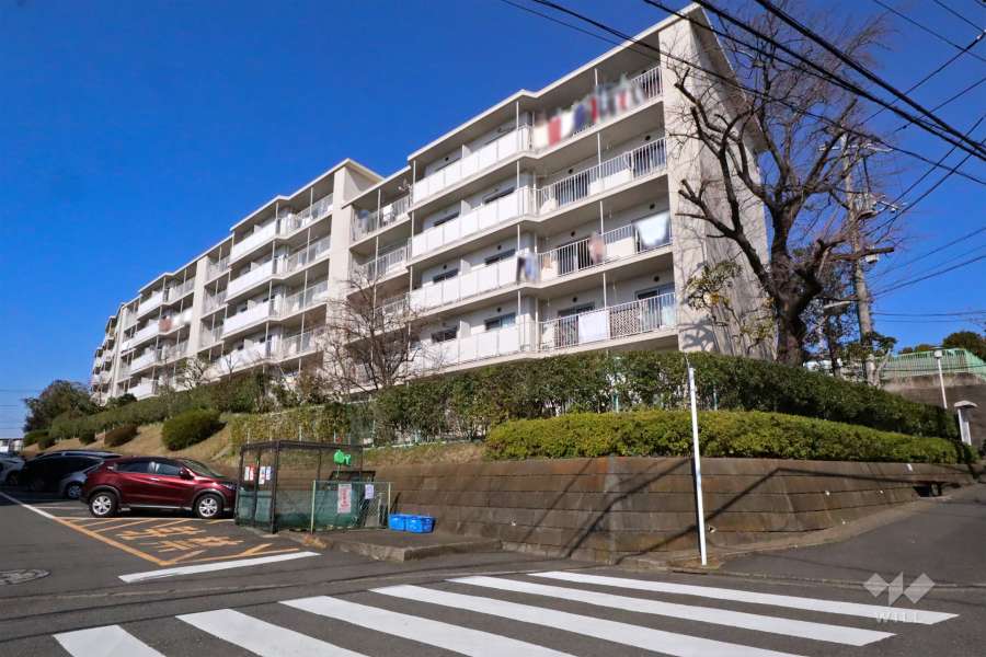 向ヶ丘遊園センチュリータウン12号棟の外観(南東側から)