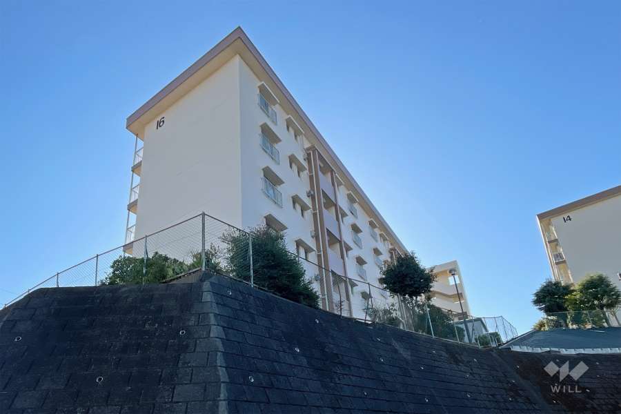 白幡台住宅１６号棟の外観（北東側から）