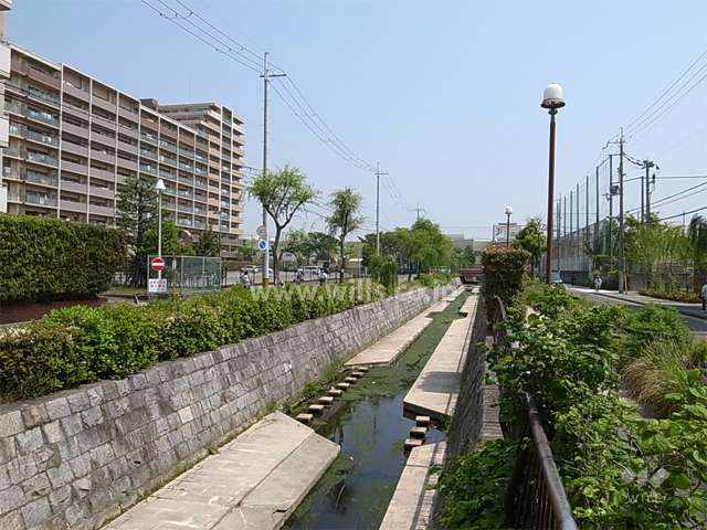 敷地東側を流れる水路。周辺は住宅の他、買い物施設や学校などが混在する街です。