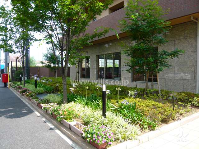 エントランス周りには緑が多く植えられています。