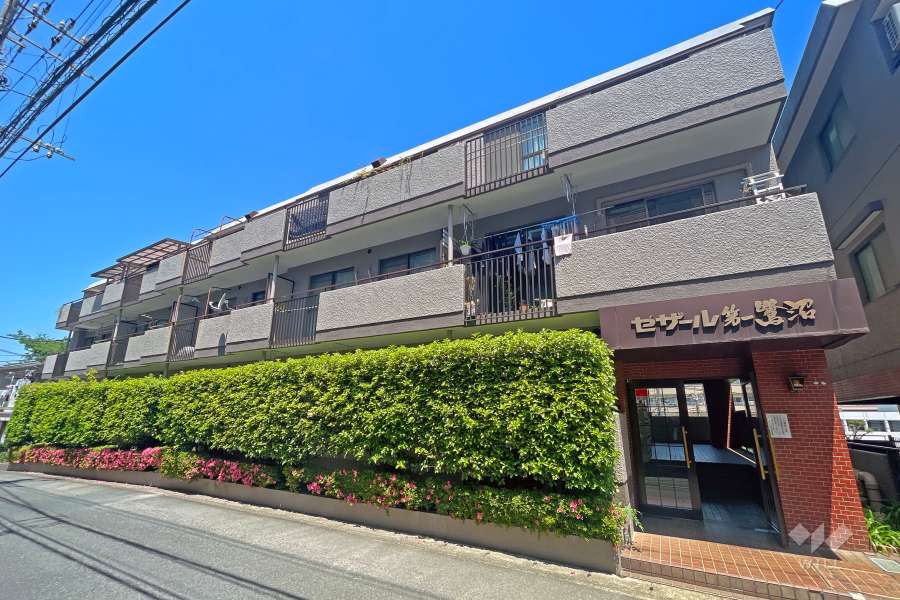 セザール第1鷺沼の外観（南東側から）