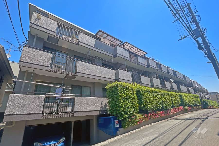 セザール第1鷺沼の外観（南西側から）