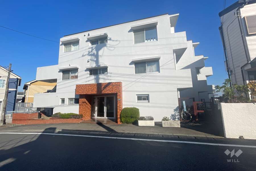 たまプラーザハイムの外観（西側から）