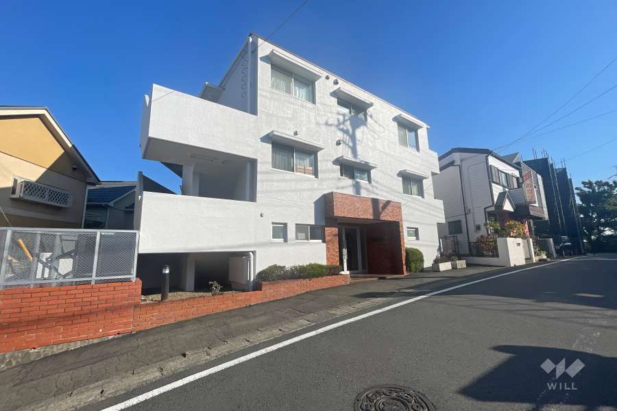 たまプラーザハイムの外観（北西側から）