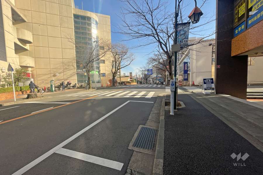 敷地北側の前面道路（西側から）