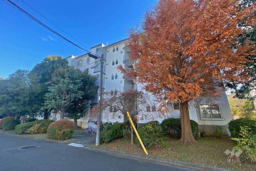 宮前平グリーンハイツ9号棟の外観（北西側から）