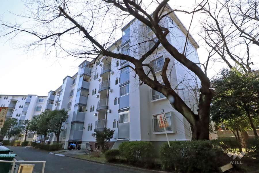 宮前平グリーンハイツ２７号棟の外観(北西側から)