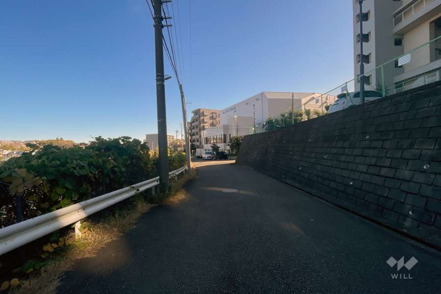 敷地の南側前面道路（東側から）