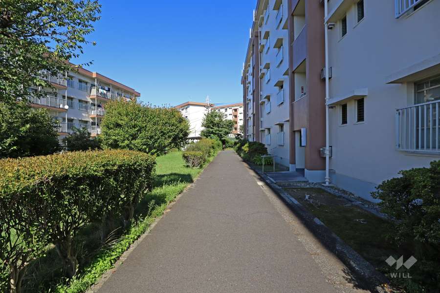 敷地南西側の前面道路（南東側から）