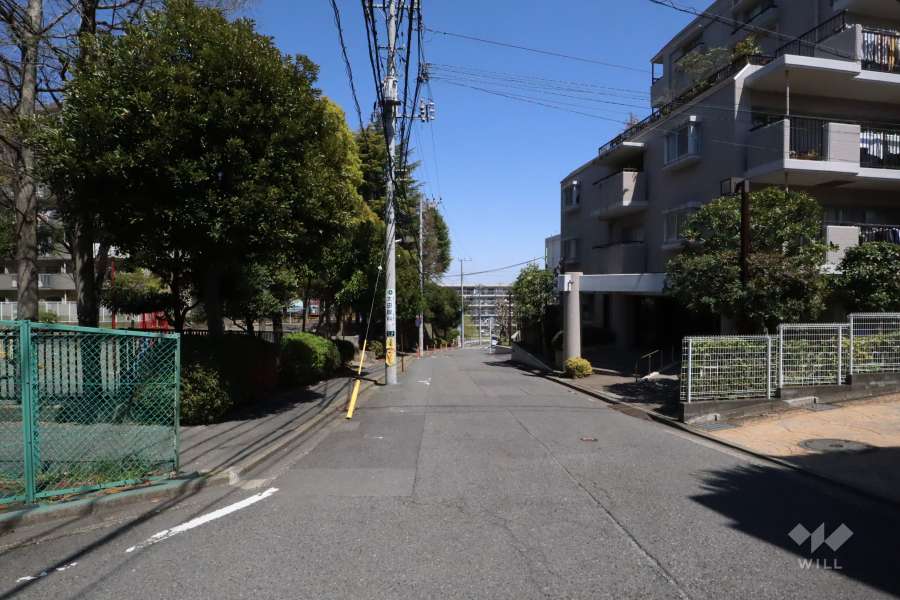 敷地南側の前面道路(西側から)