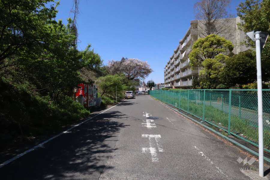 敷地南側の前面道路(東側から)