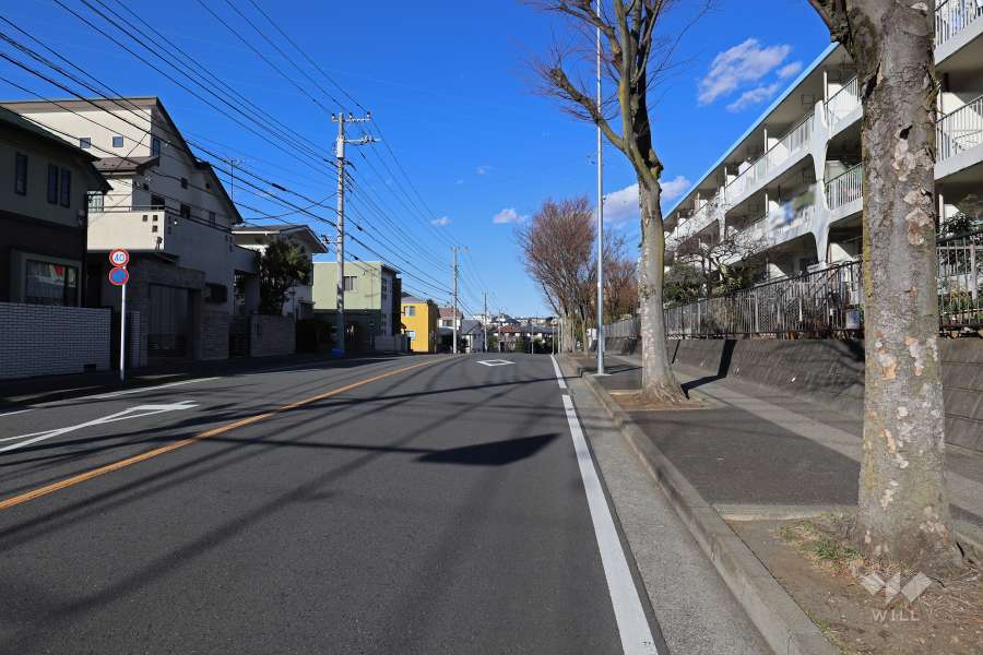 敷地西側の前面道路（南側から）