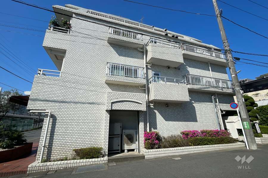 鷺沼プールサイドスカイマンションの外観（東側から）