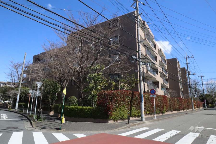 ベルググランデ鷺沼の外観(南西側から)