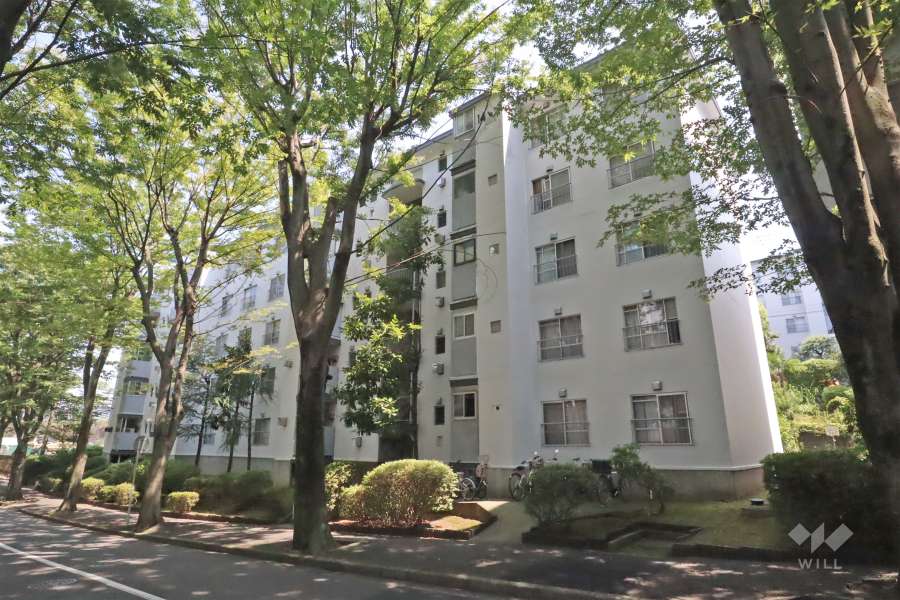 宮前平グリーンハイツ１４号棟の外観(北西側から)