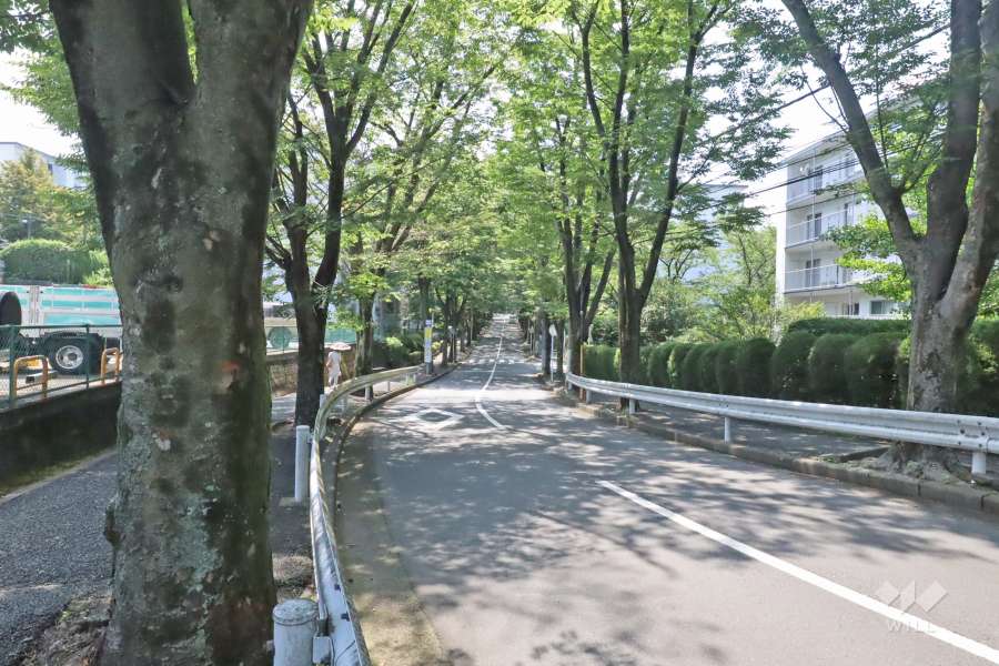 敷地北側の前面道路は、けやき通りです(西側から)。
