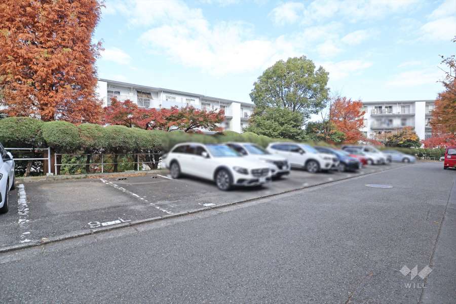 敷地内駐車場（屋外平面式）
