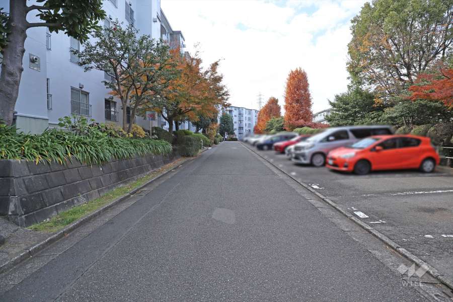 敷地北側の前面道路　