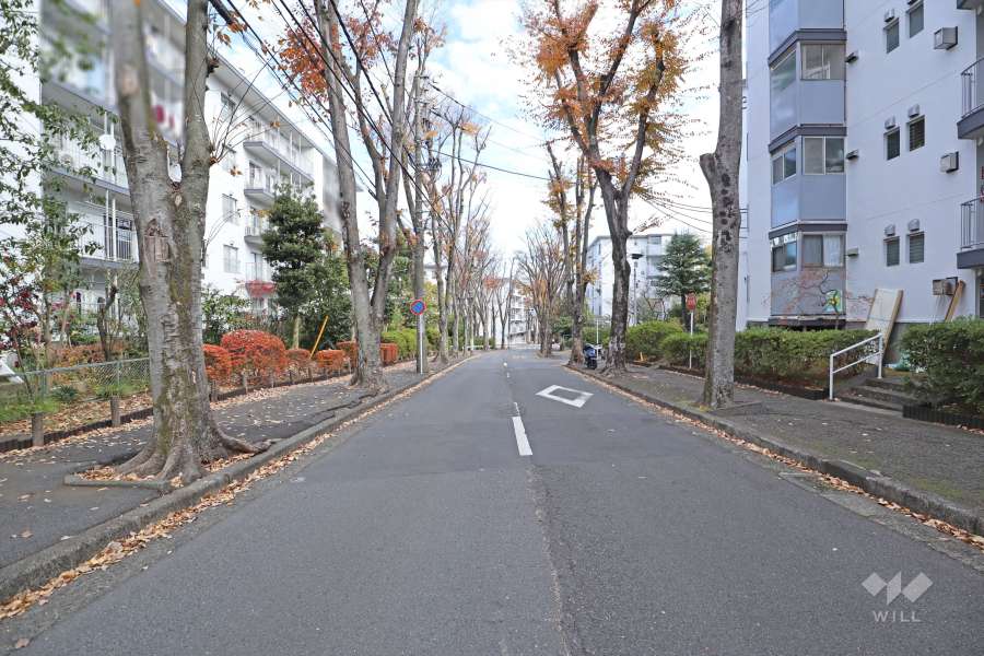 敷地の南側前面道路は「けやき通り」です。
