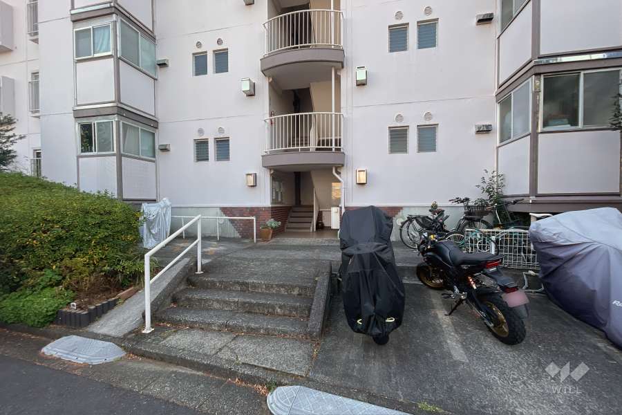 エントランスと駐輪場