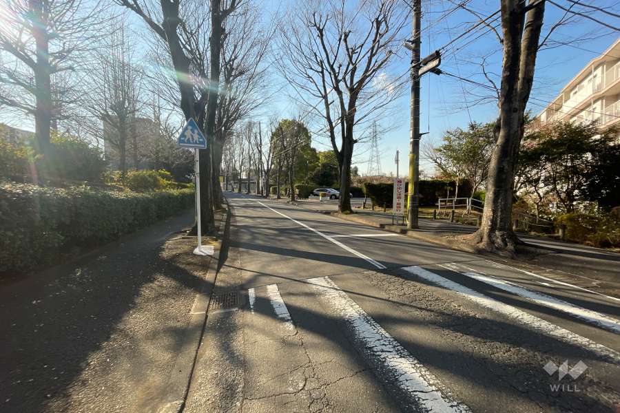 敷地の北側前面道路（東側から）