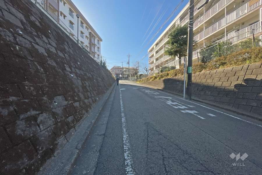 敷地南側の前面道路（西側から）