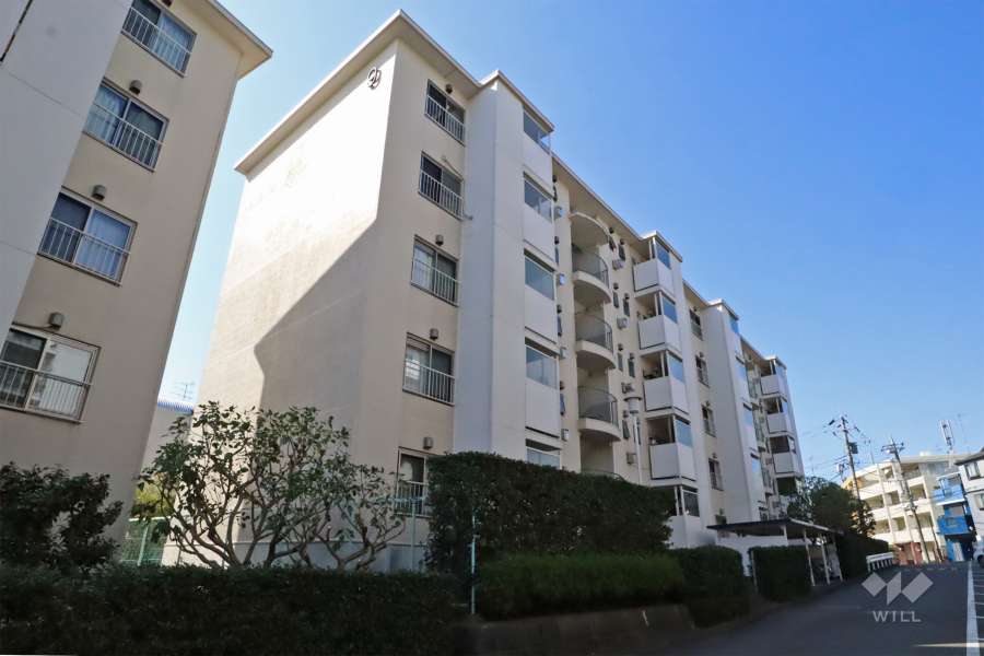 向ヶ丘遊園センチュリータウン９号棟の外観（北東側から）